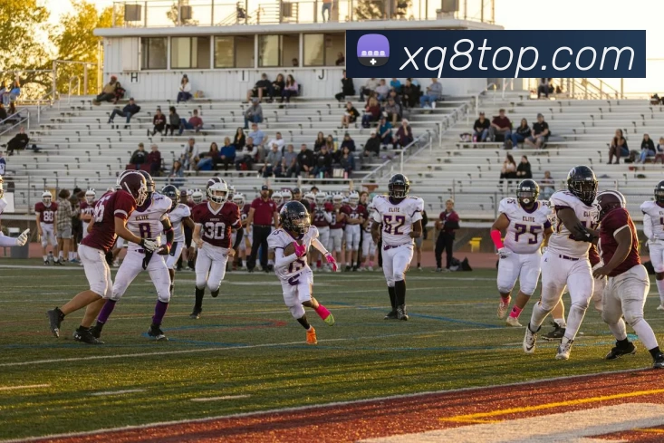 星期8娱乐城官网发展历程