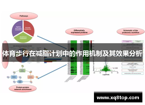 体育步行在减脂计划中的作用机制及其效果分析